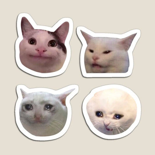 Meme Cats Magnet Stickers