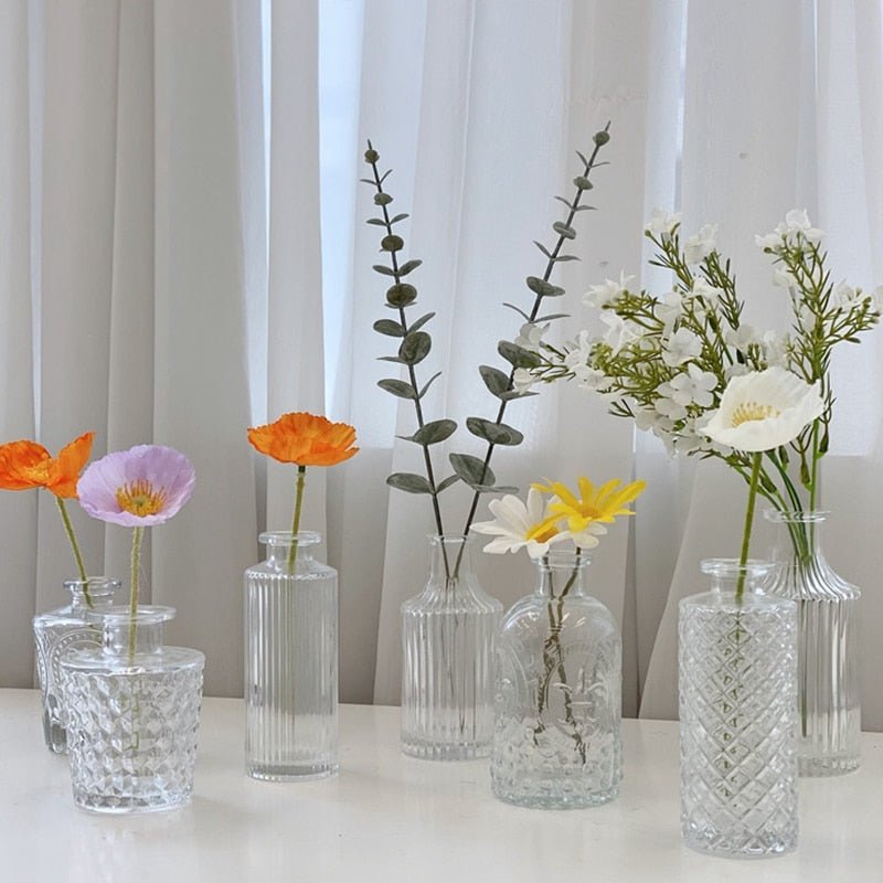 Glass Hydroponic Flower Vases - DIVINE DESIGN